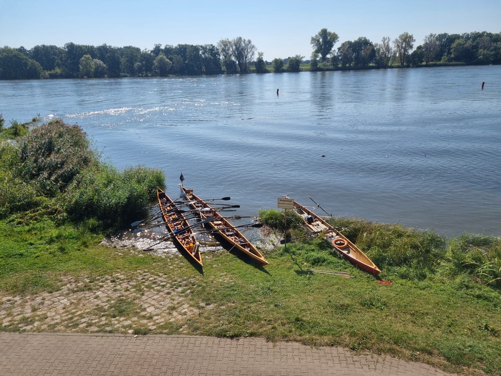 Drei Ruderboote sind am Elbufer inmitten einer Buhne festgemacht. Drumherum malerische Landschaft. Im Hintergrund sind einige Bäume am anderen Elbufer zu sehen.